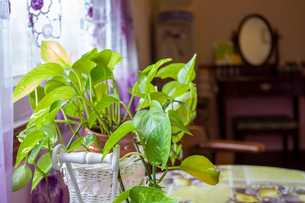 Chenyuan B&B Hualien City Luaran gambar